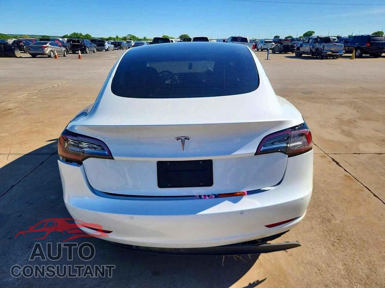 TESLA MODEL 3 2021 - 5YJ3E1EA3MF062019