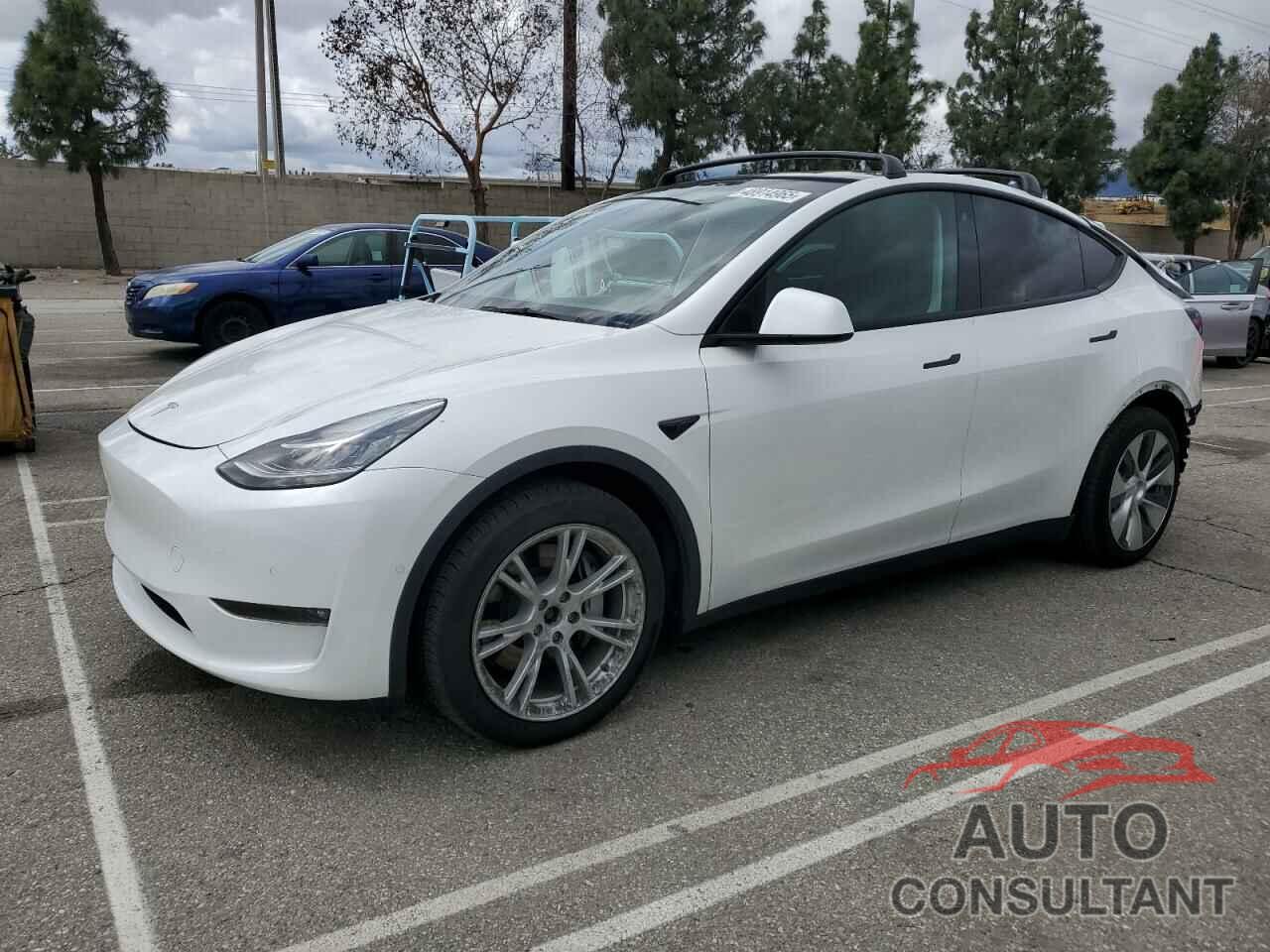 TESLA MODEL Y 2021 - 5YJYGDEE0MF213600