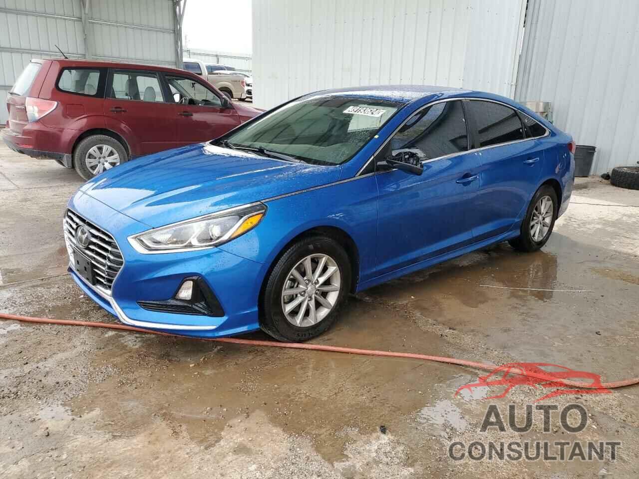 HYUNDAI SONATA 2019 - 5NPE24AFXKH759335
