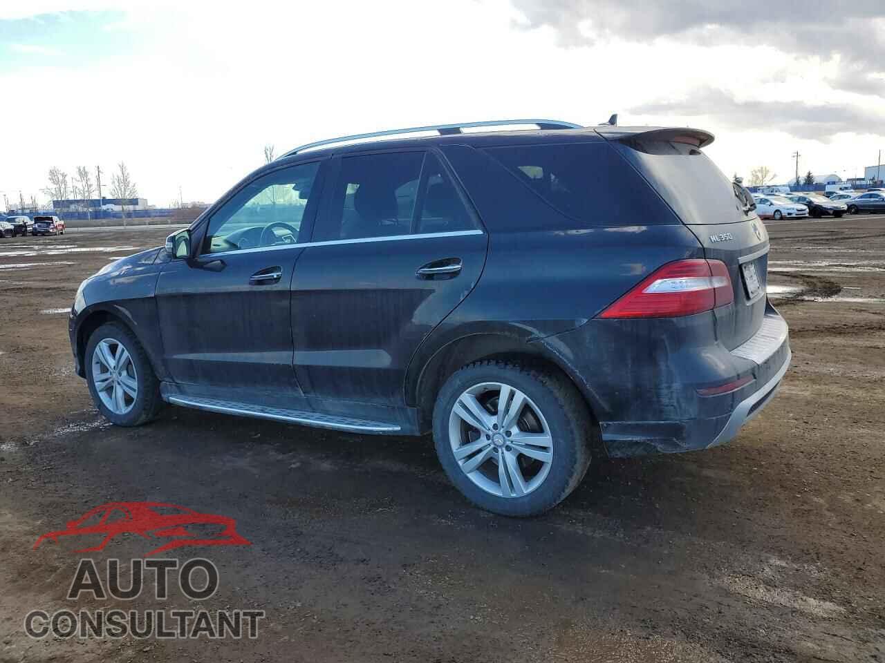 MERCEDES-BENZ M-CLASS 2013 - 4JGDA2EB3DA189629