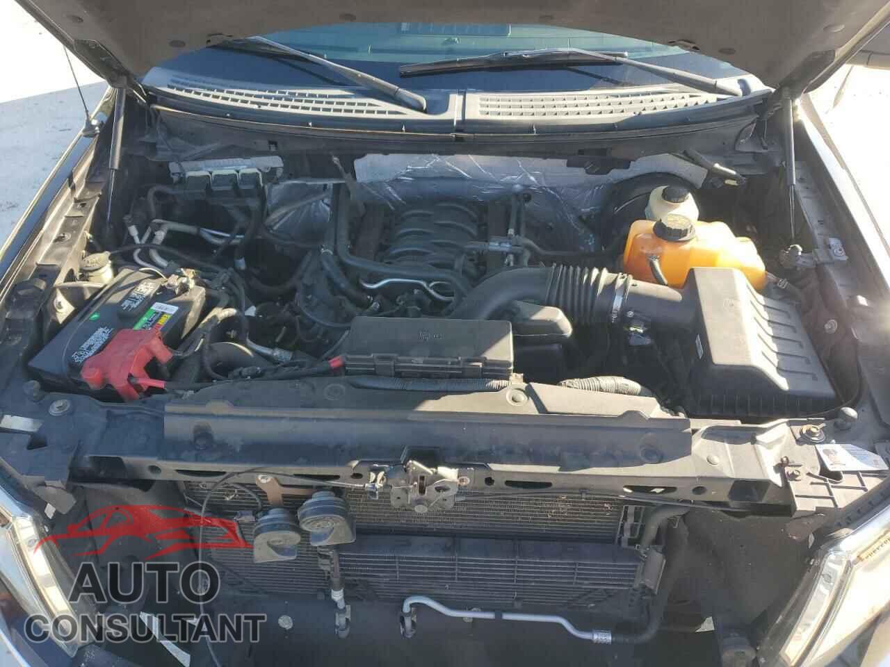 FORD F-150 2013 - 1FTFW1CF2DFD64258