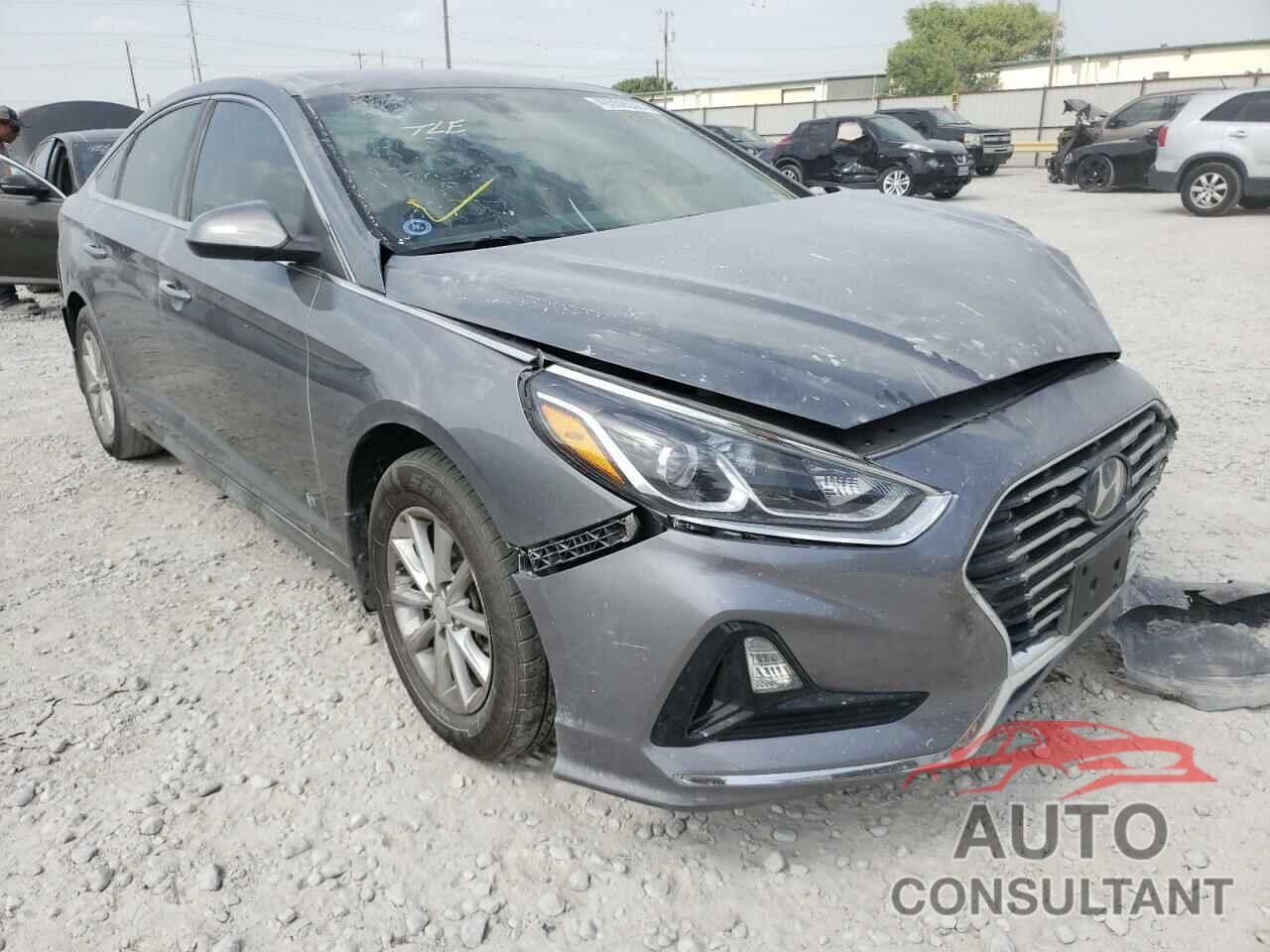 HYUNDAI SONATA 2019 - 5NPE24AF6KH793028