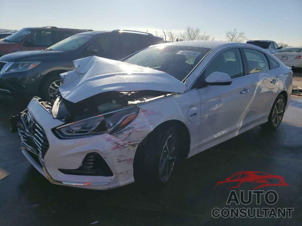 HYUNDAI SONATA 2019 - KMHE14L20KA093103