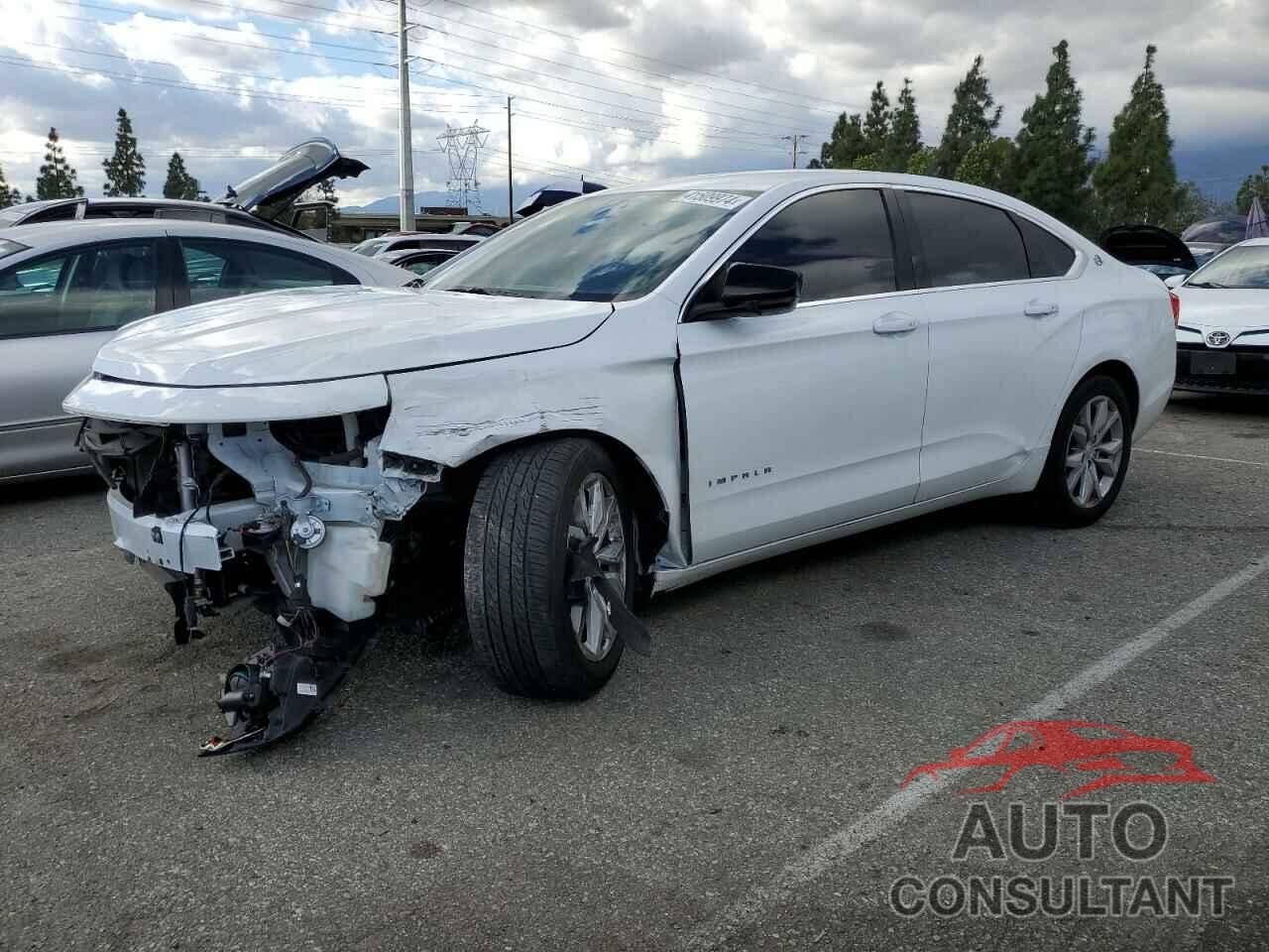 CHEVROLET IMPALA 2019 - 1G11Y5SA6KU147332