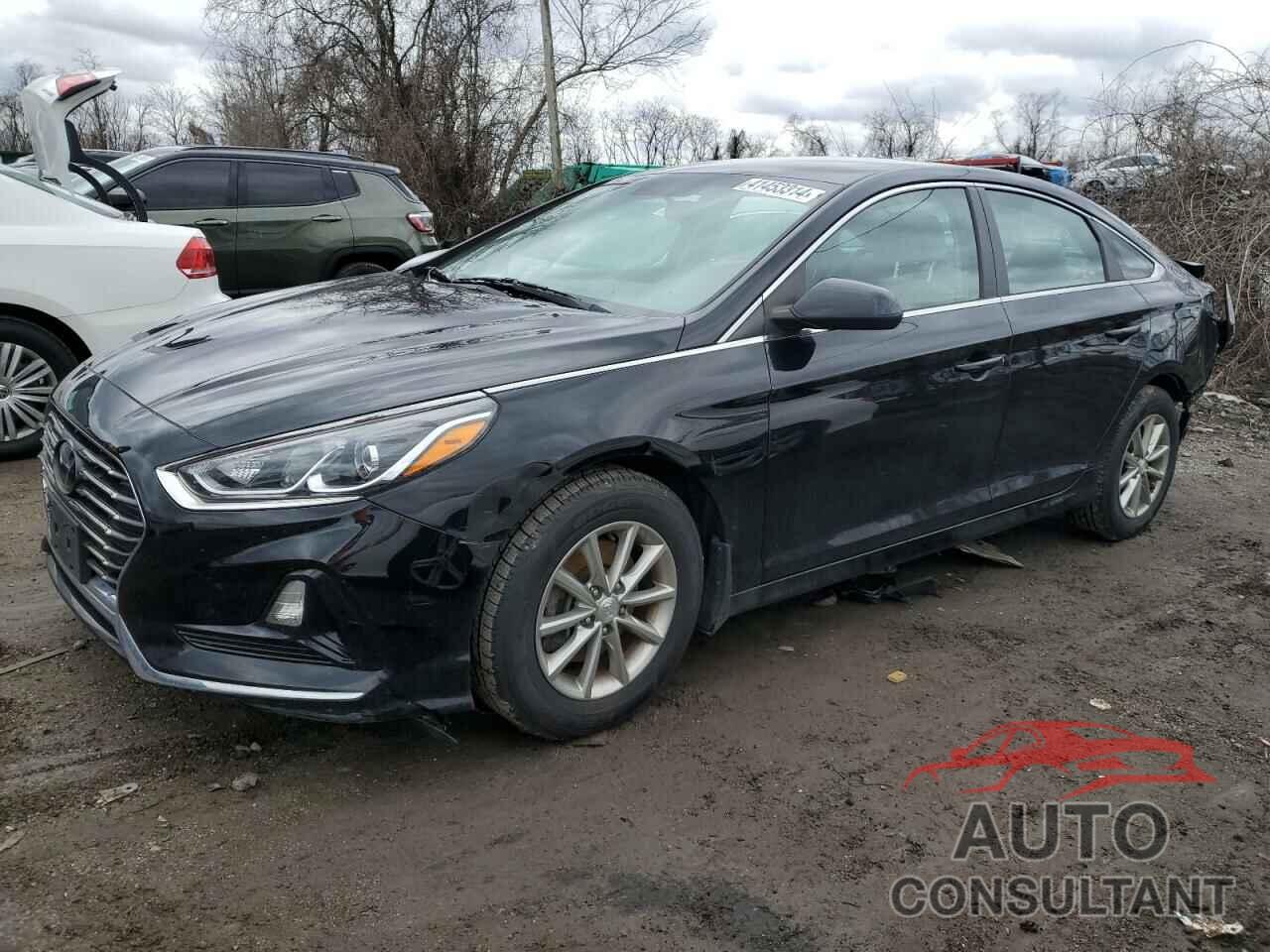 HYUNDAI SONATA 2019 - 5NPE24AF0KH801382
