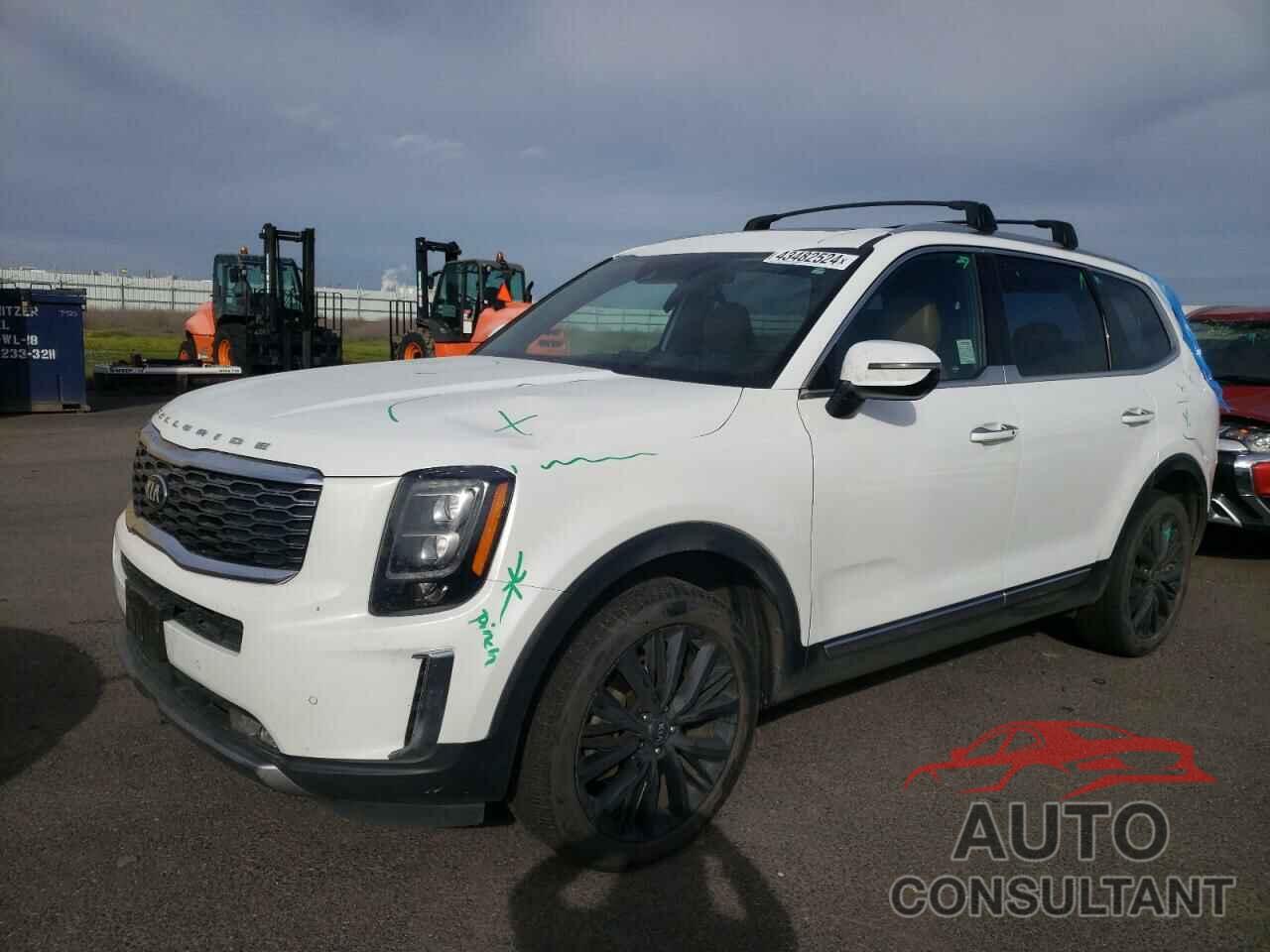 KIA TELLURIDE 2021 - 5XYP54HCXMG113170