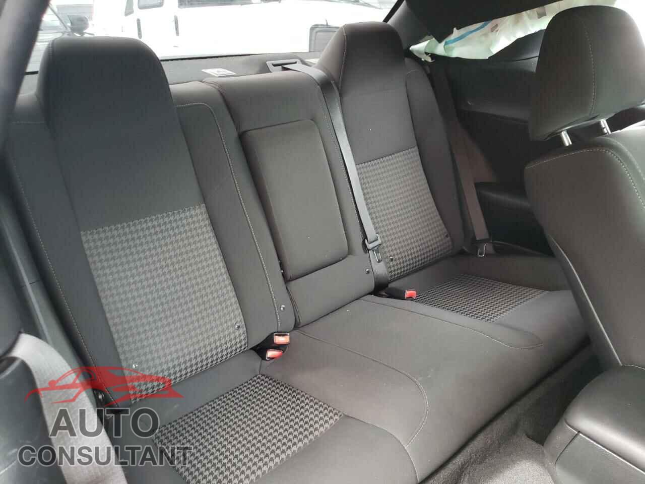 DODGE CHALLENGER 2019 - 2C3CDZBT9KH573849