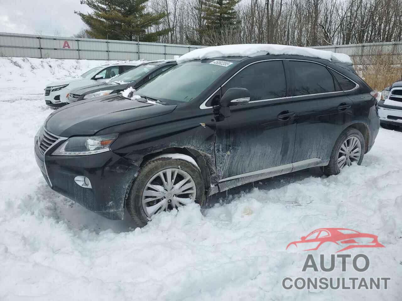 LEXUS RX350 2013 - 2T2BK1BA7DC181684