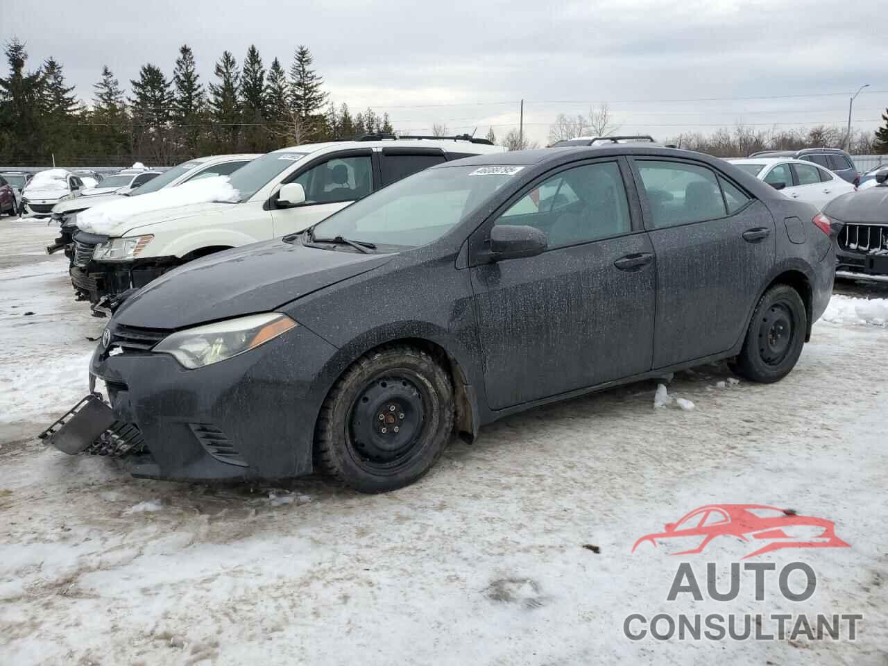 TOYOTA COROLLA 2016 - 2T1BURHE1GC666639
