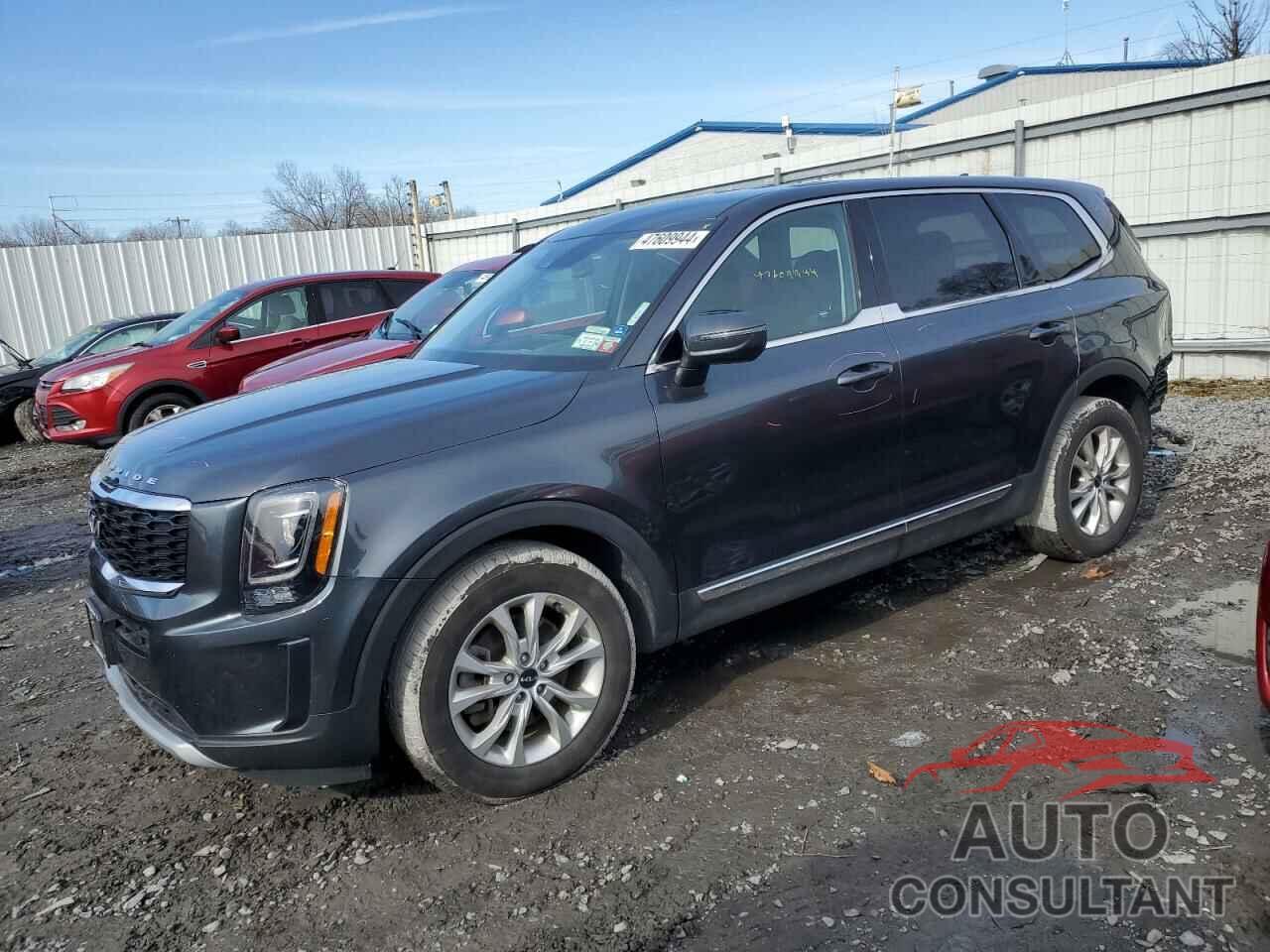 KIA TELLURIDE 2022 - 5XYP2DHC8NG282565