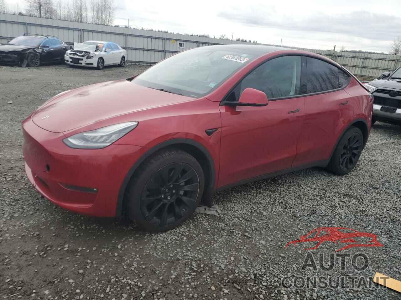 TESLA MODEL Y 2021 - 5YJYGDEE3MF118674
