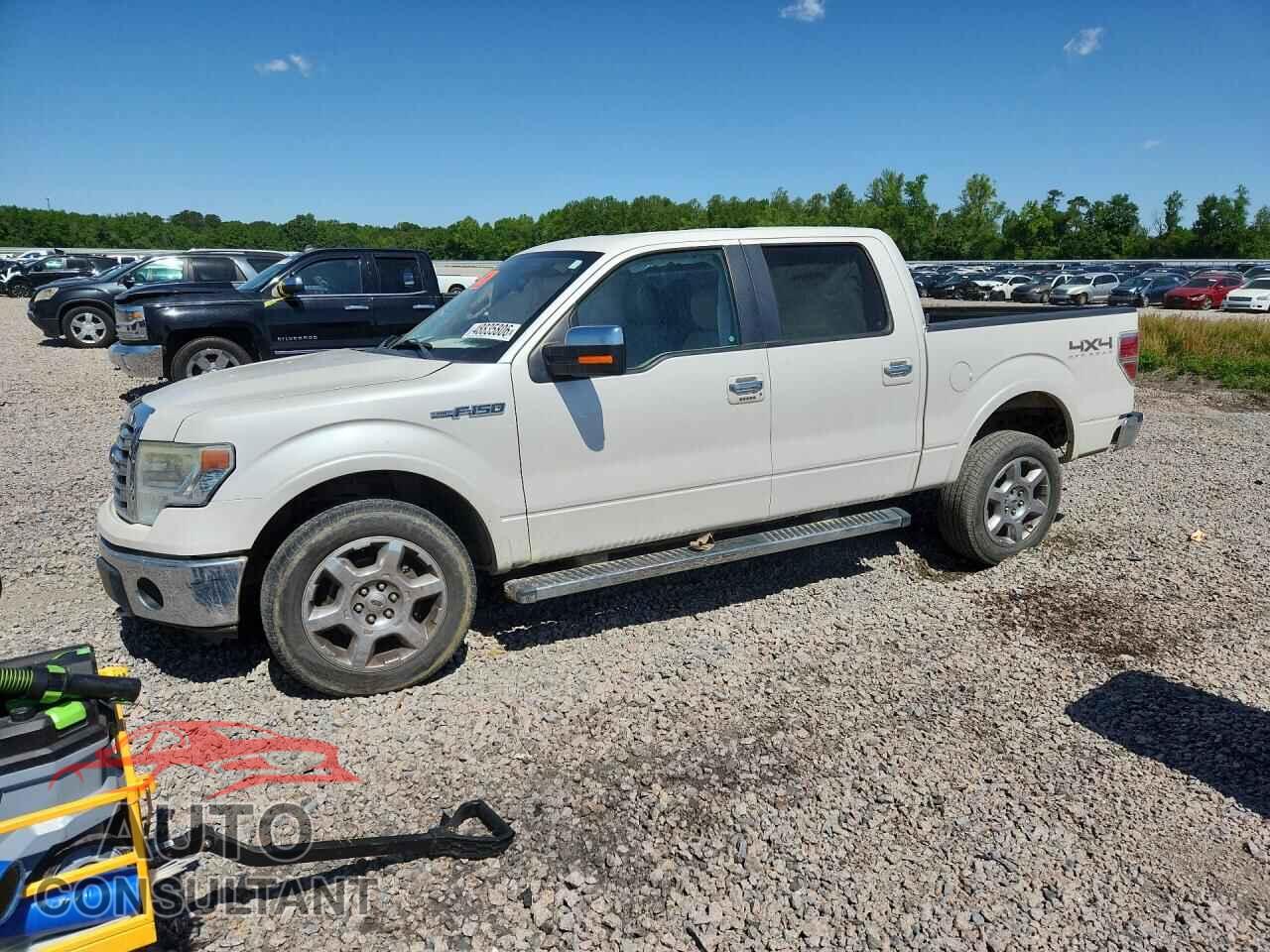 FORD F150 2013 - 1FTFW1EF2DFD00508
