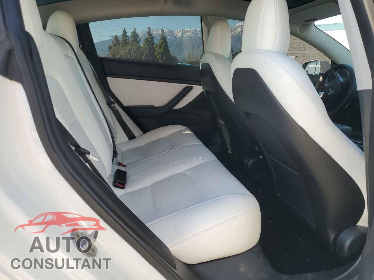 TESLA MODEL 3 2019 - 5YJ3E1EB9KF421959