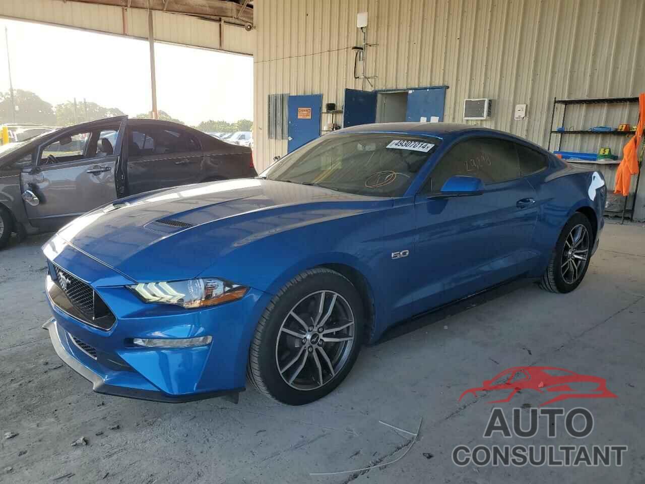 FORD MUSTANG 2019 - 1FA6P8CF6K5203278