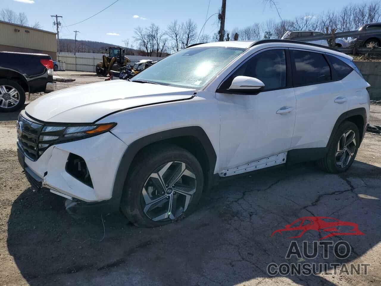 HYUNDAI TUCSON 2024 - 5NMJFCDE5RH322026