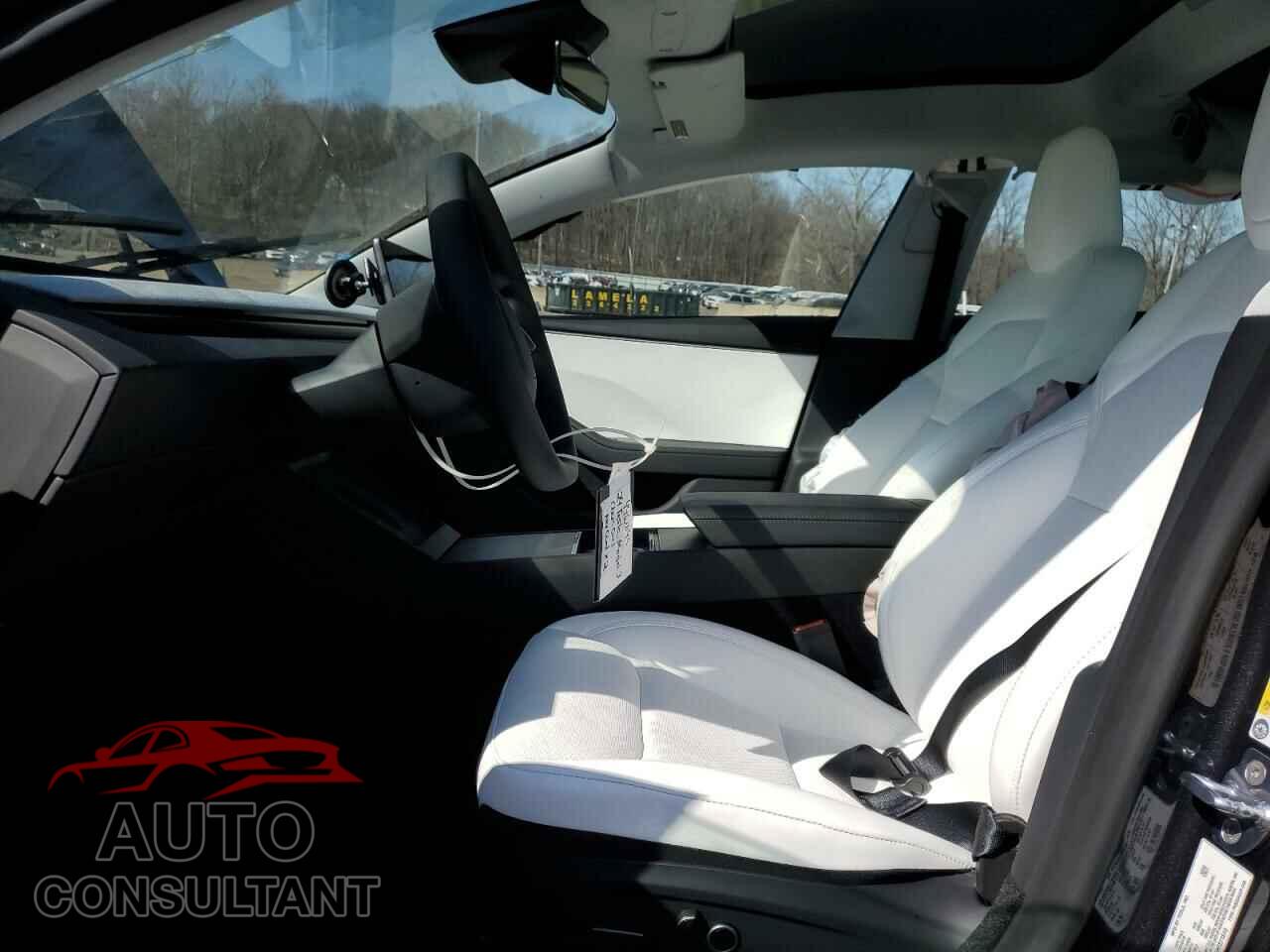 TESLA MODEL 3 2024 - 5YJ3E1EA5RF871819