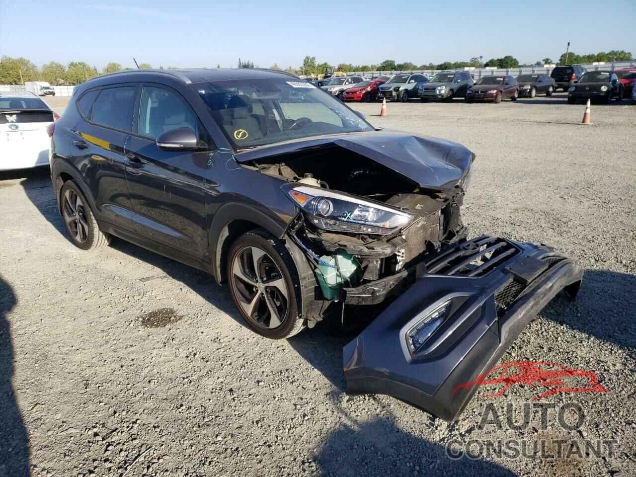 HYUNDAI TUCSON 2016 - KM8J33A24GU089700