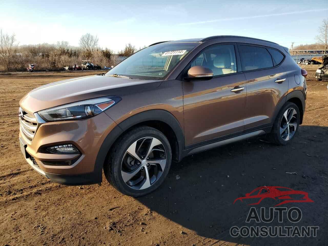 HYUNDAI TUCSON 2016 - KM8J33A26GU229679