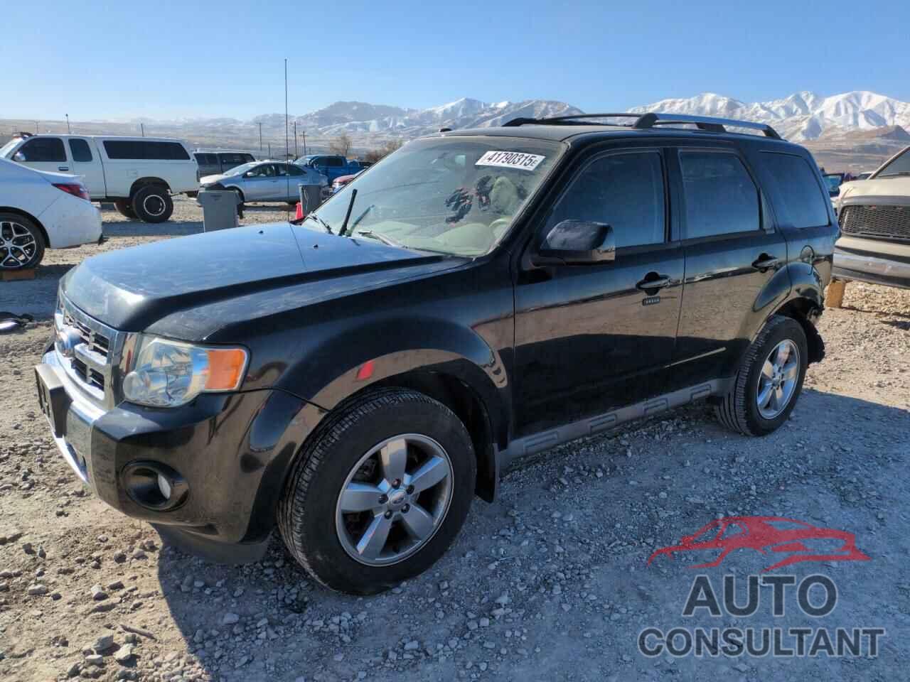 FORD ESCAPE 2011 - 1FMCU0EG0BKC29949