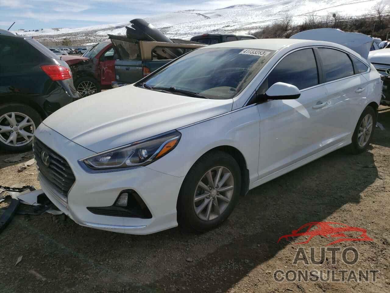 HYUNDAI SONATA 2019 - 5NPE24AF7KH735932