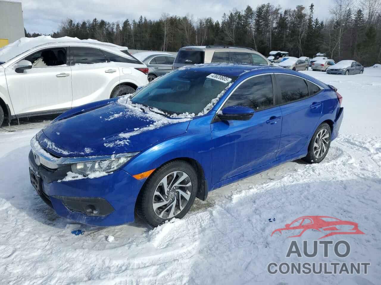 HONDA CIVIC 2018 - 2HGFC2F65JH032501