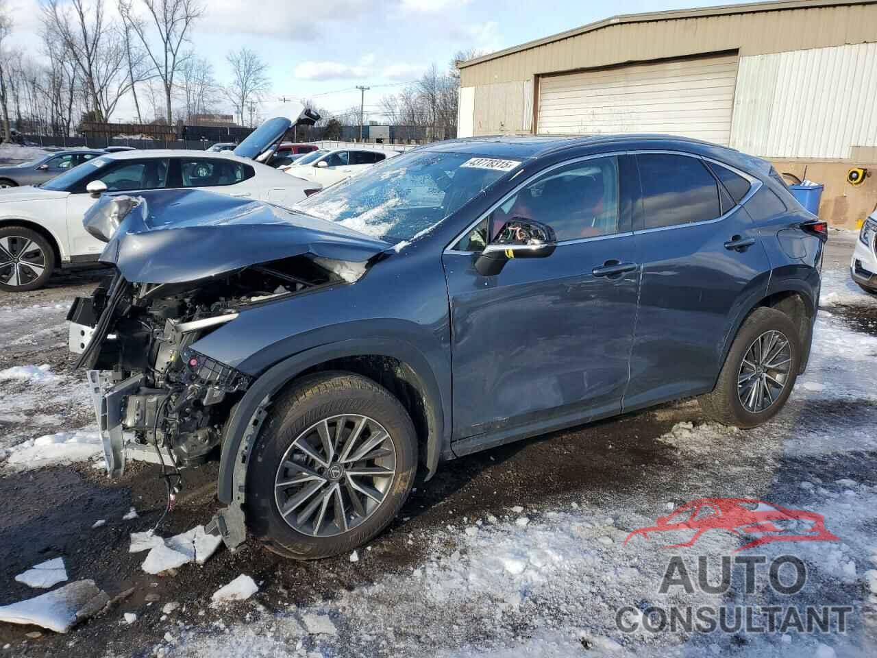 LEXUS NX 350 2022 - JTJAGCEZ8N2002807