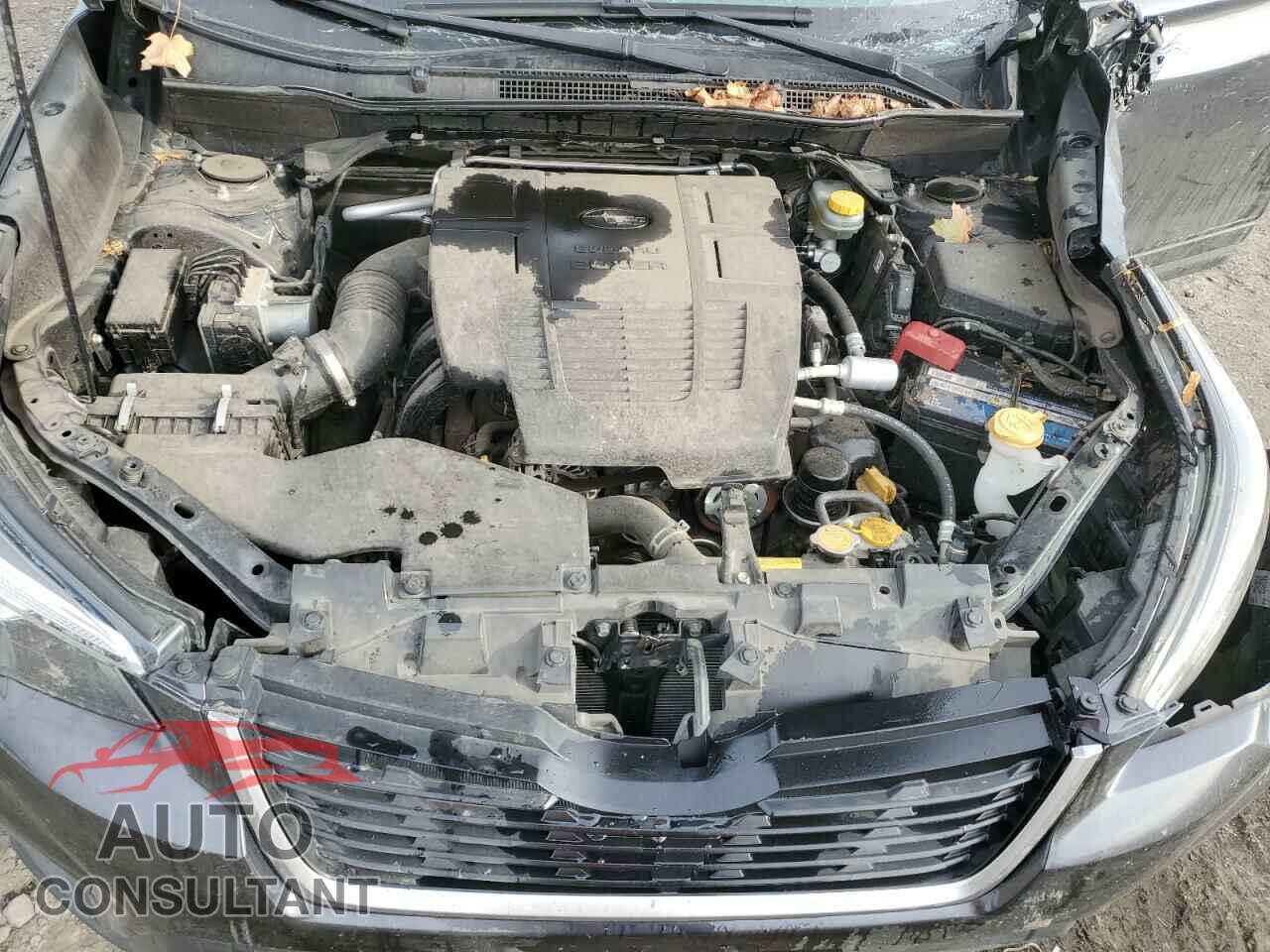 SUBARU FORESTER 2019 - JF2SKAEC0KH542801