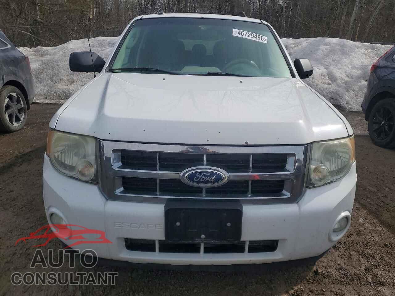 FORD ESCAPE 2011 - 1FMCU0DG4BKB75685