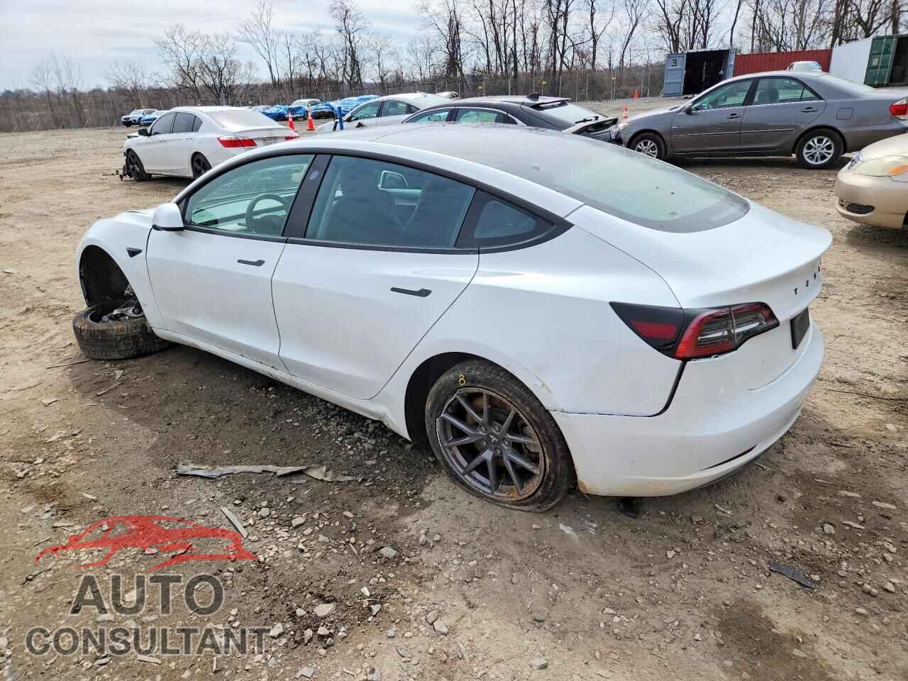 TESLA MODEL 3 2023 - 5YJ3E1EA0PF489842