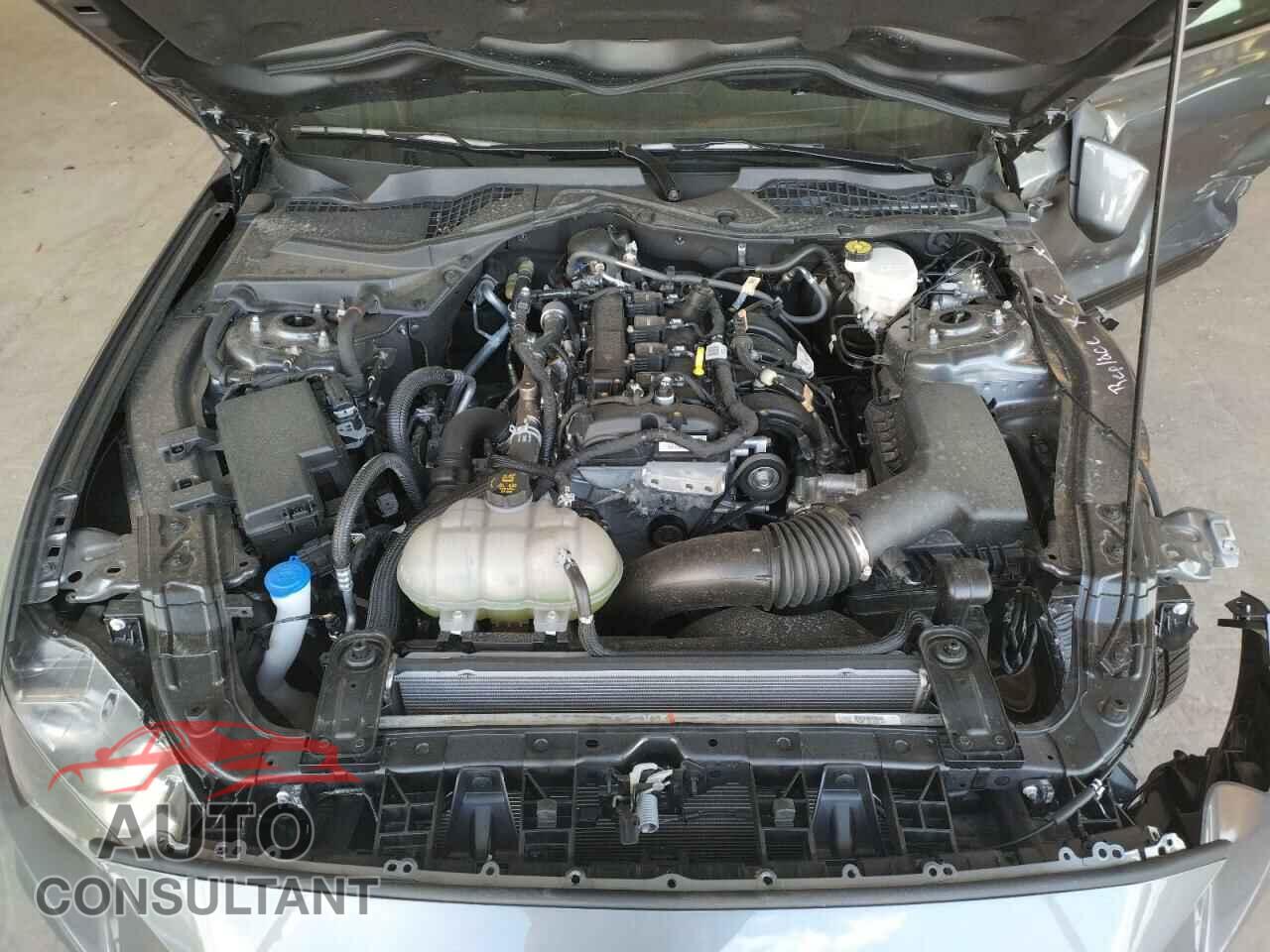 FORD MUSTANG 2021 - 1FA6P8TH4M5134482