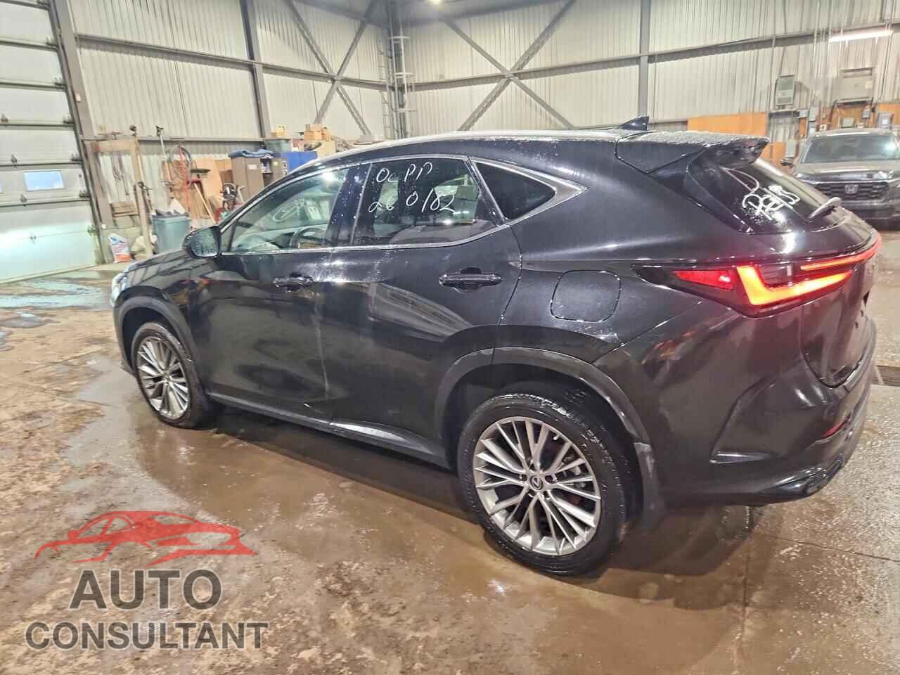 LEXUS UNKNOWN 2023 - 2T2GGCEZXPC031335