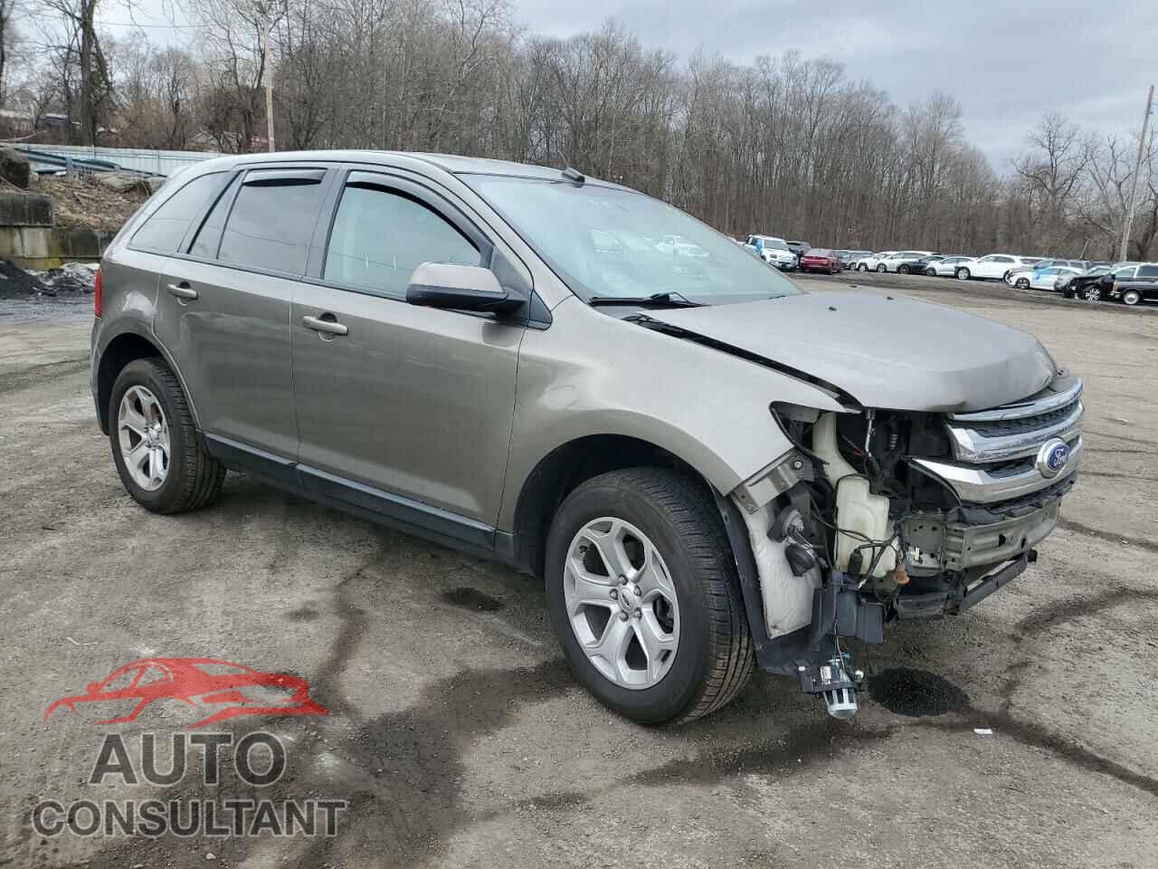 FORD EDGE 2014 - 2FMDK4JC9EBA88639