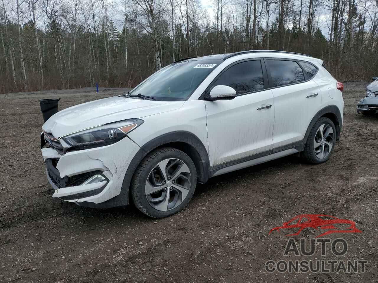 HYUNDAI TUCSON 2017 - KM8J3CA22HU541208