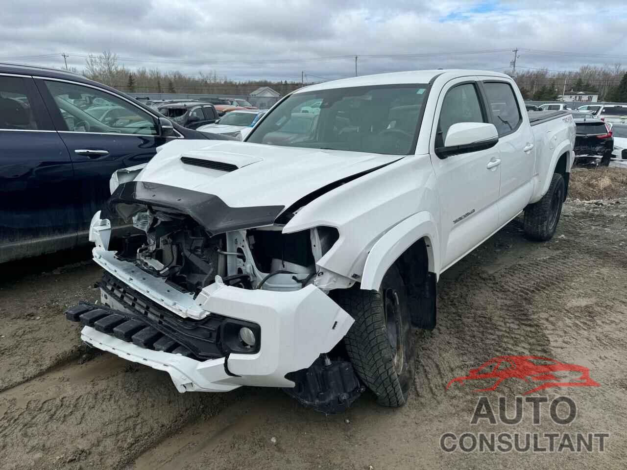 TOYOTA TACOMA 2022 - 3TYDZ5BN5NT008083