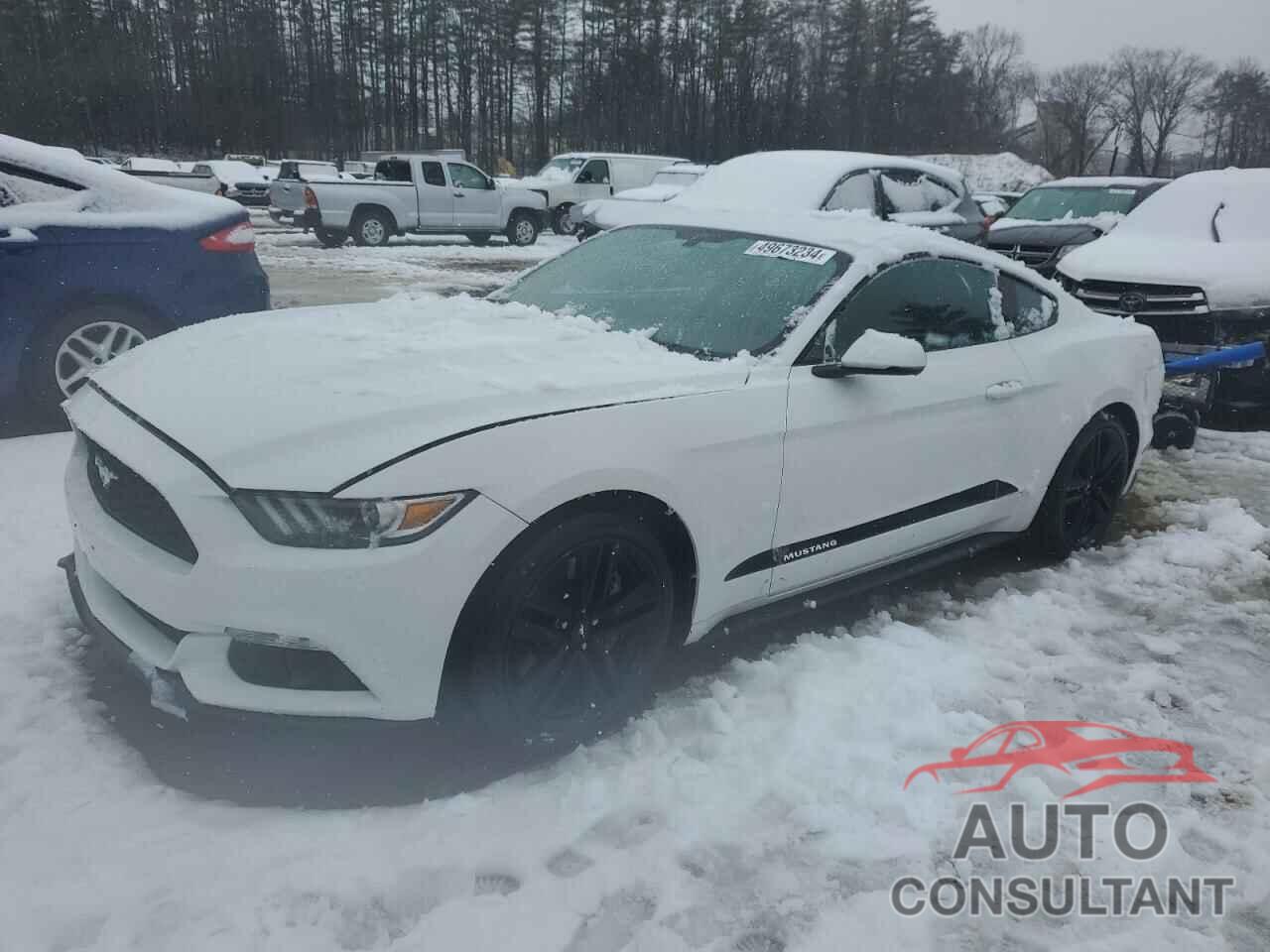 FORD ALL Models 2015 - 1FA6P8TH7F5350555