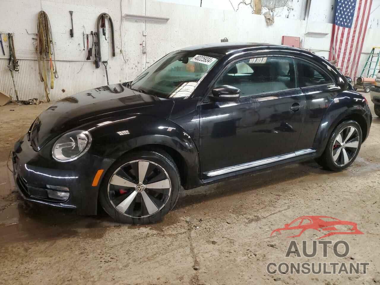 VOLKSWAGEN BEETLE 2012 - 3VWV67AT9CM643404