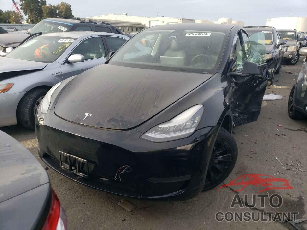 TESLA MODEL Y 2021 - 5YJYGDEE5MF064939