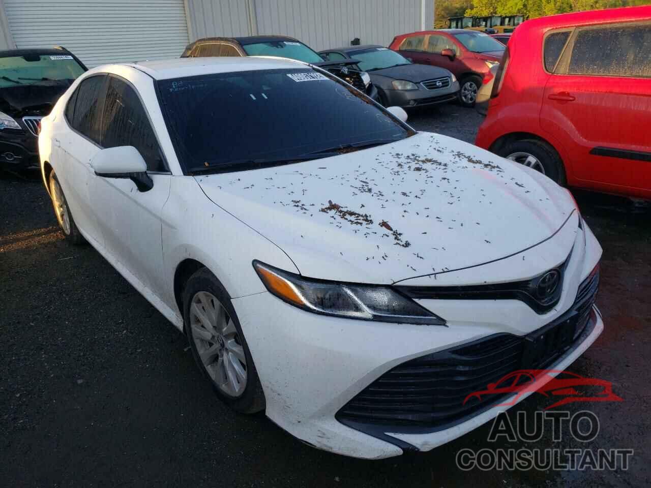 TOYOTA CAMRY 2019 - 4T1B11HK8KU774120