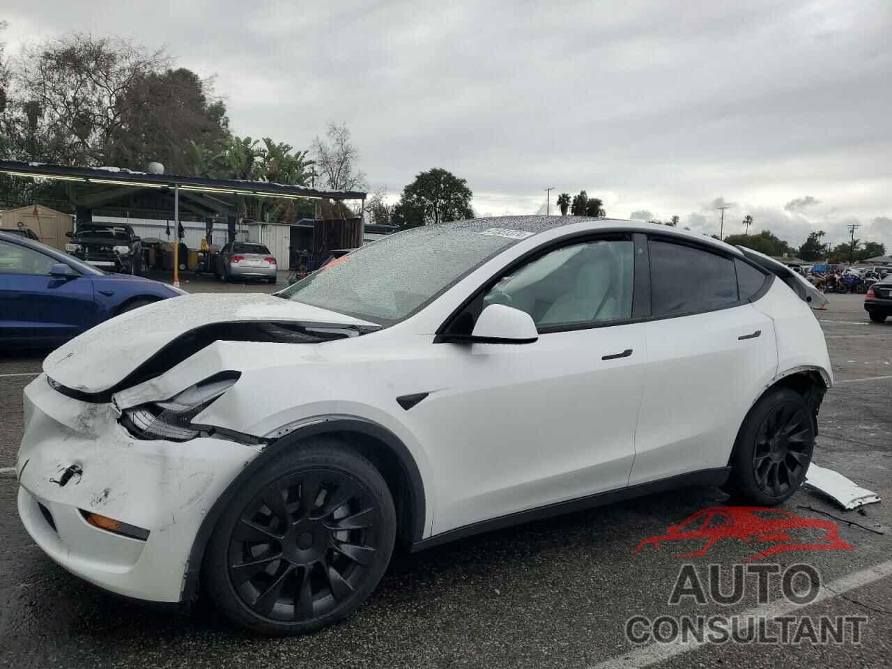 TESLA MODEL Y 2020 - 5YJYGDEE4LF055499