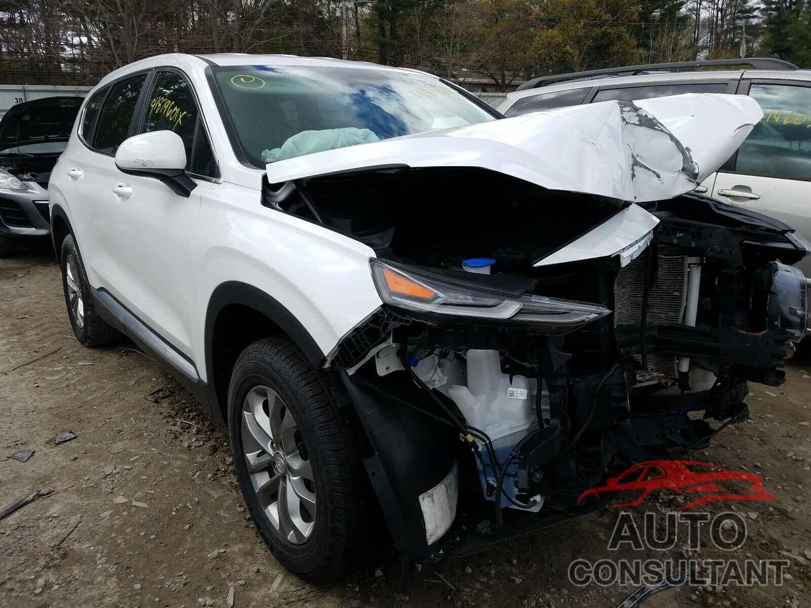 HYUNDAI SANTA FE 2019 - 5NMS2CADXKH078925