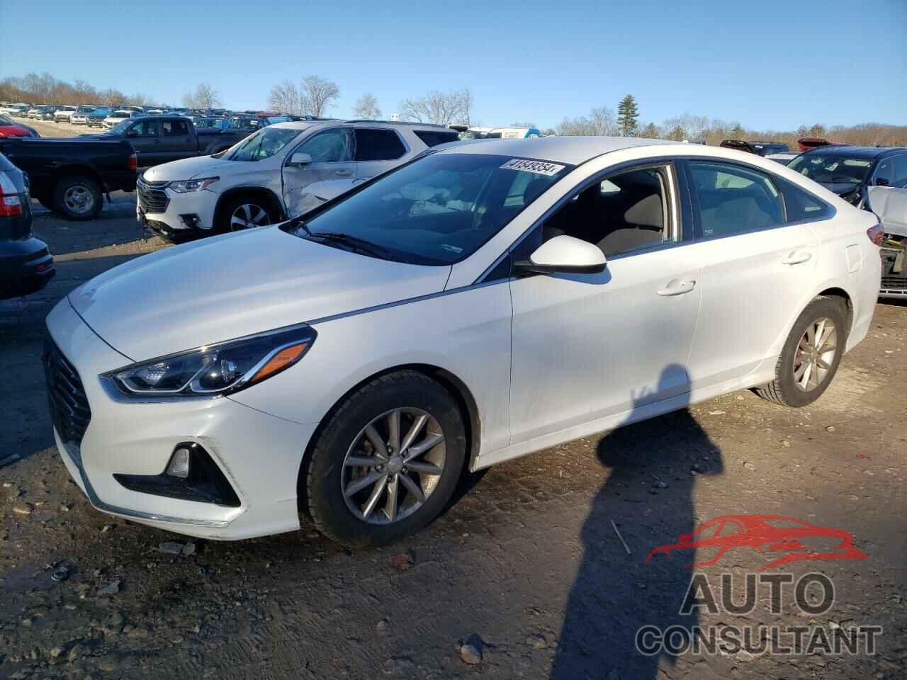 HYUNDAI SONATA 2019 - 5NPE24AF2KH800444
