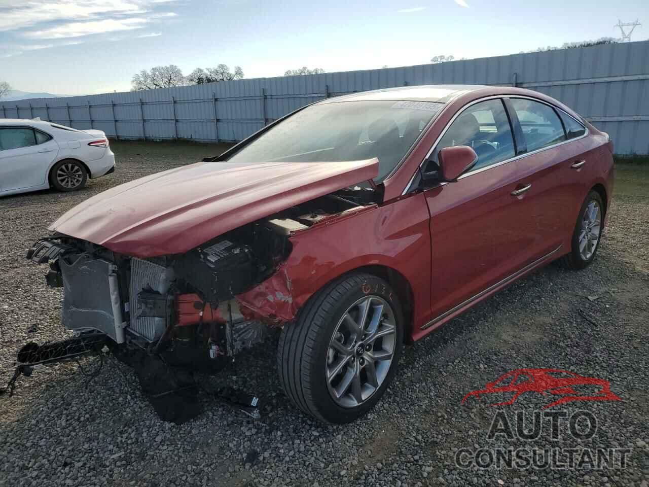 HYUNDAI SONATA 2019 - 5NPE34AB7KH766270