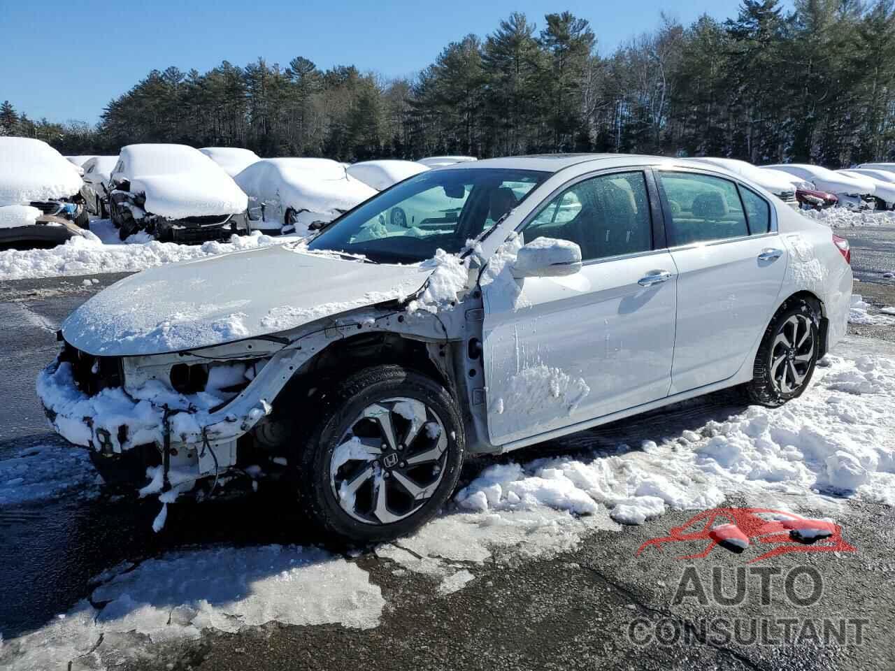 HONDA ACCORD 2016 - 1HGCR2F7XGA240441