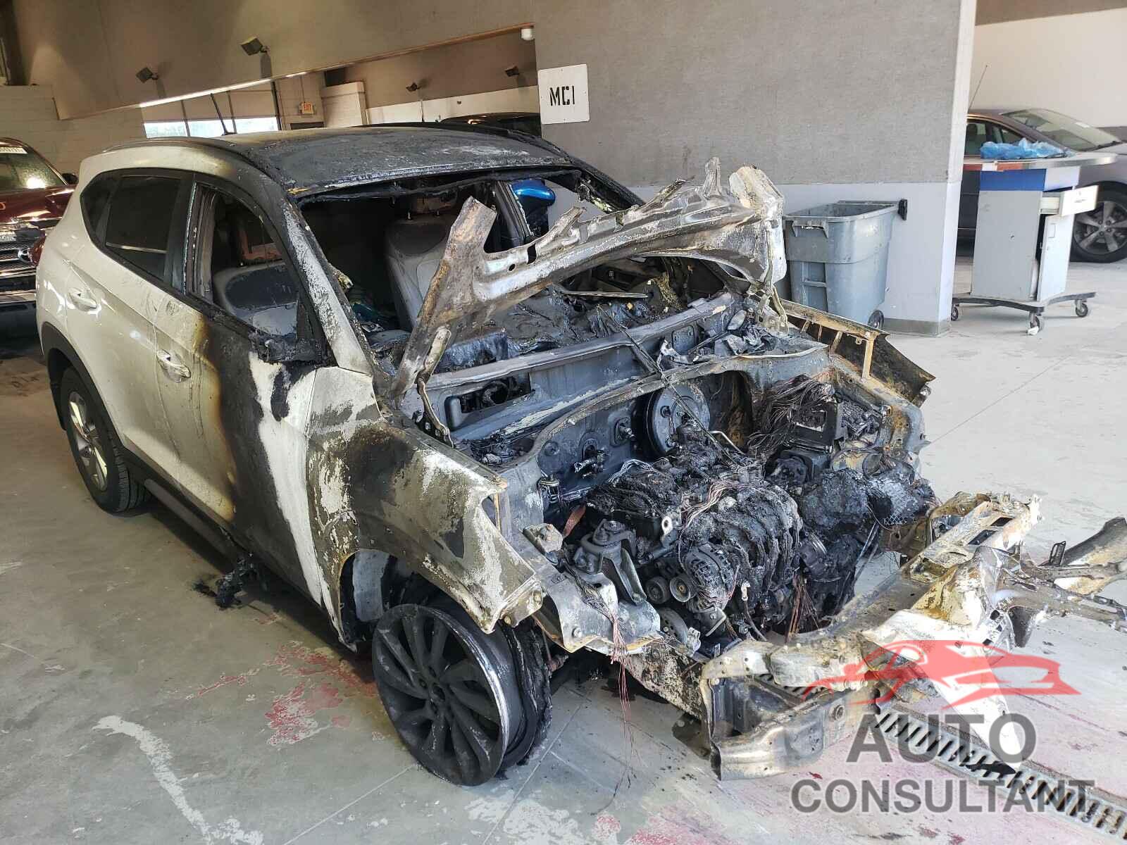 HYUNDAI TUCSON 2017 - KM8J33A44HU466576