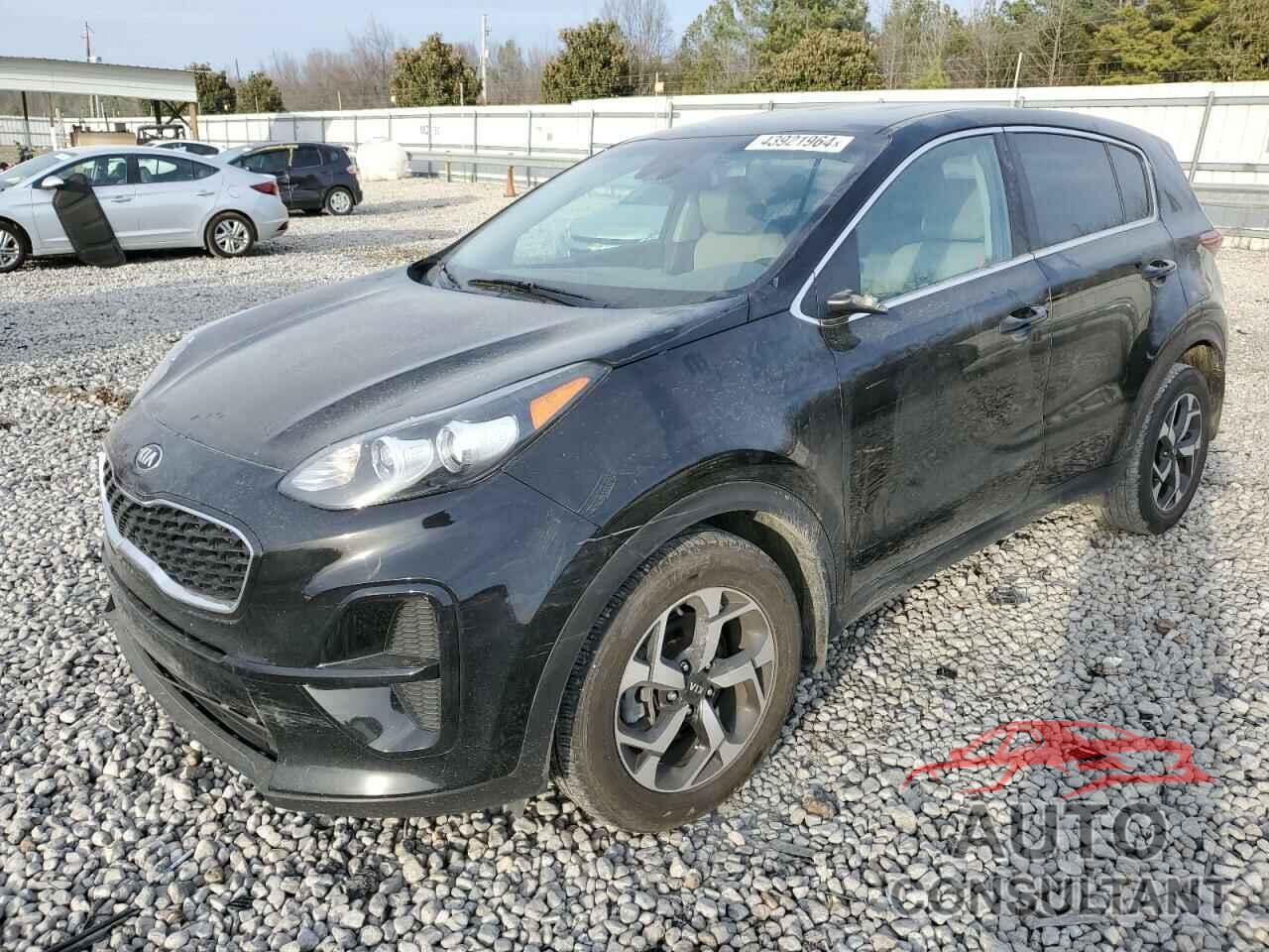 KIA SPORTAGE 2022 - KNDPM3AC7N7967541