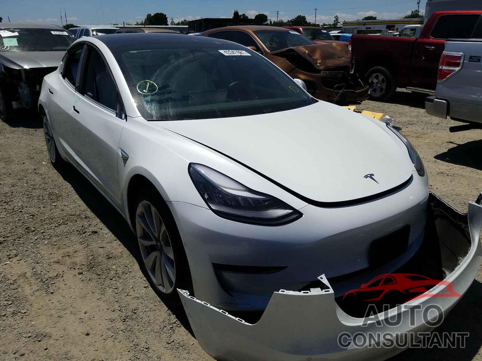 2019 MODEL 3 TESLA