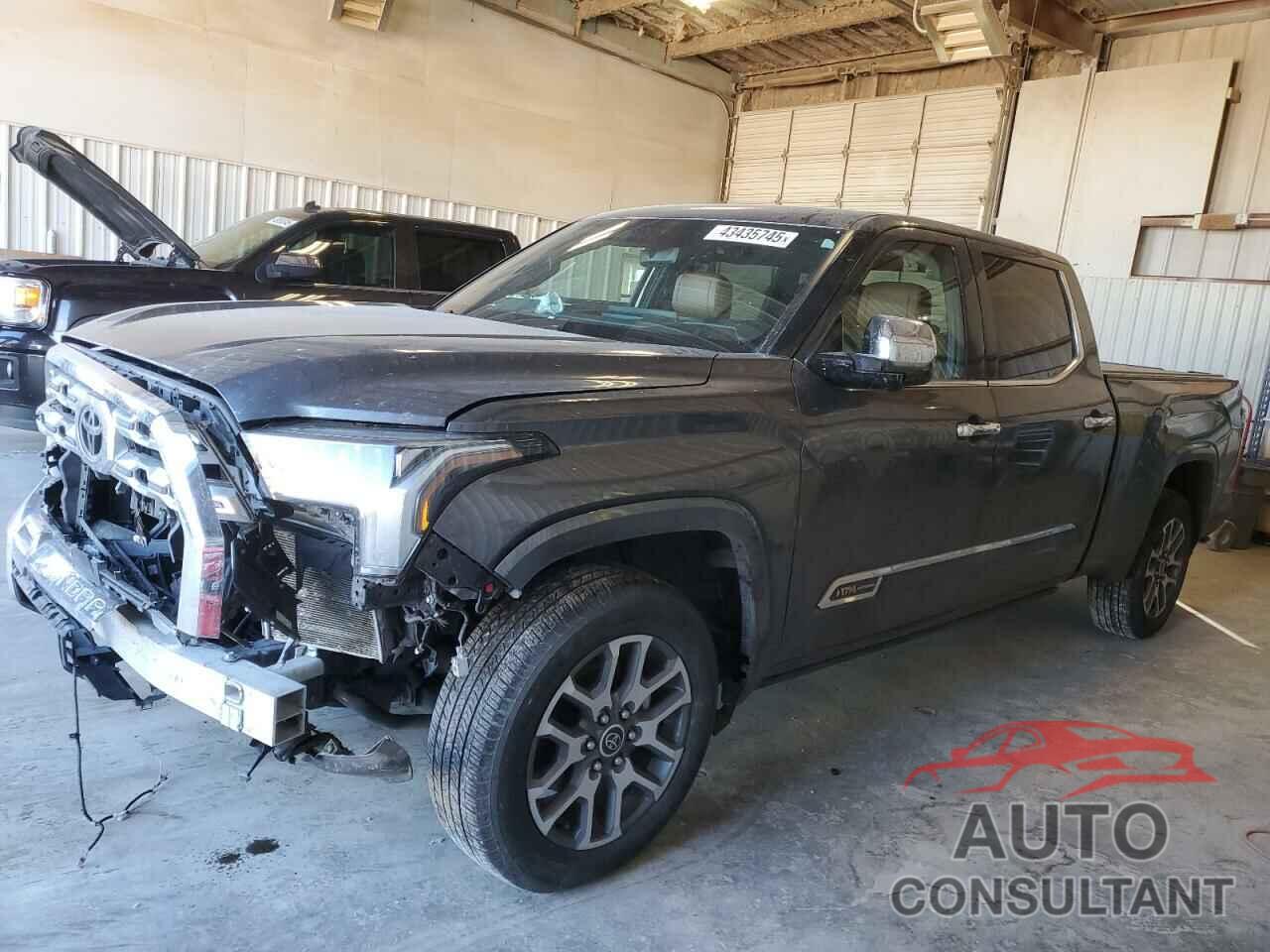 TOYOTA TUNDRA 2023 - 5TFMA5EC2PX016099