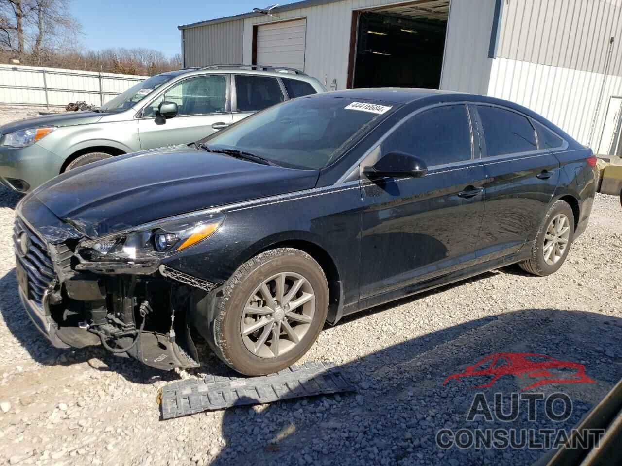 HYUNDAI SONATA 2019 - 5NPE24AF4KH736133