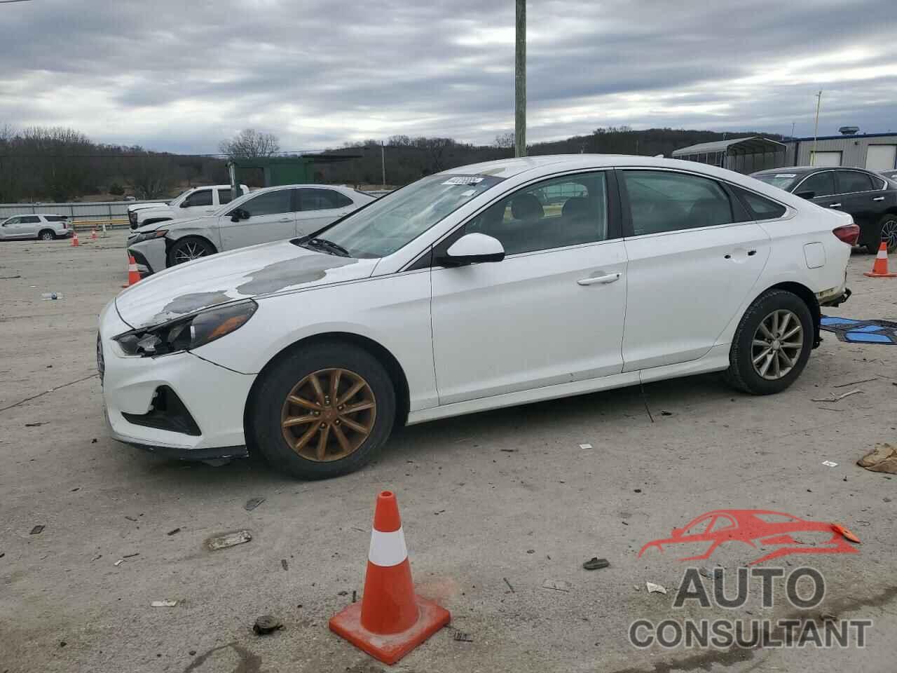 HYUNDAI SONATA 2019 - 5NPE24AF6KH761650
