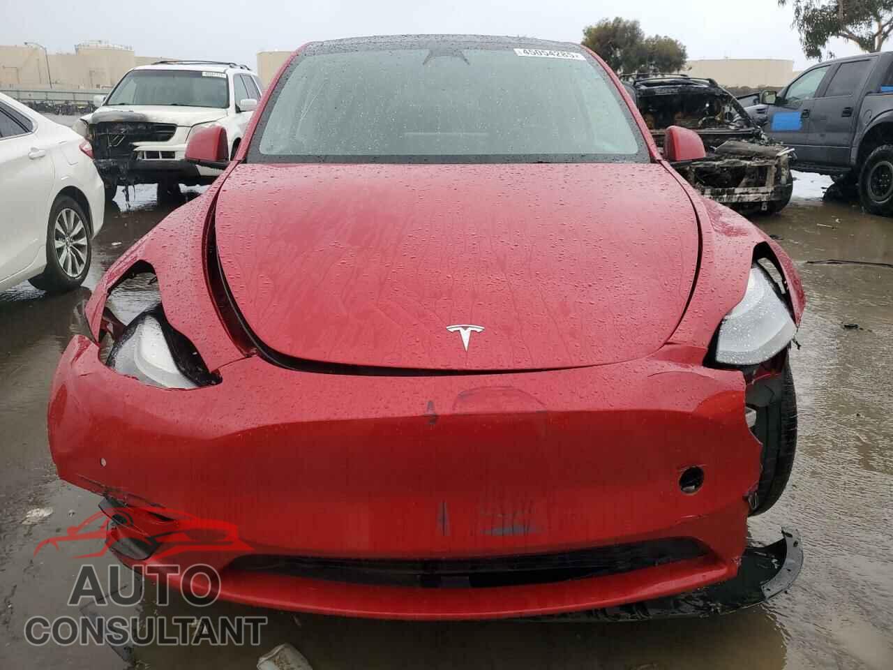 TESLA MODEL Y 2022 - 7SAYGAEE2NF554371